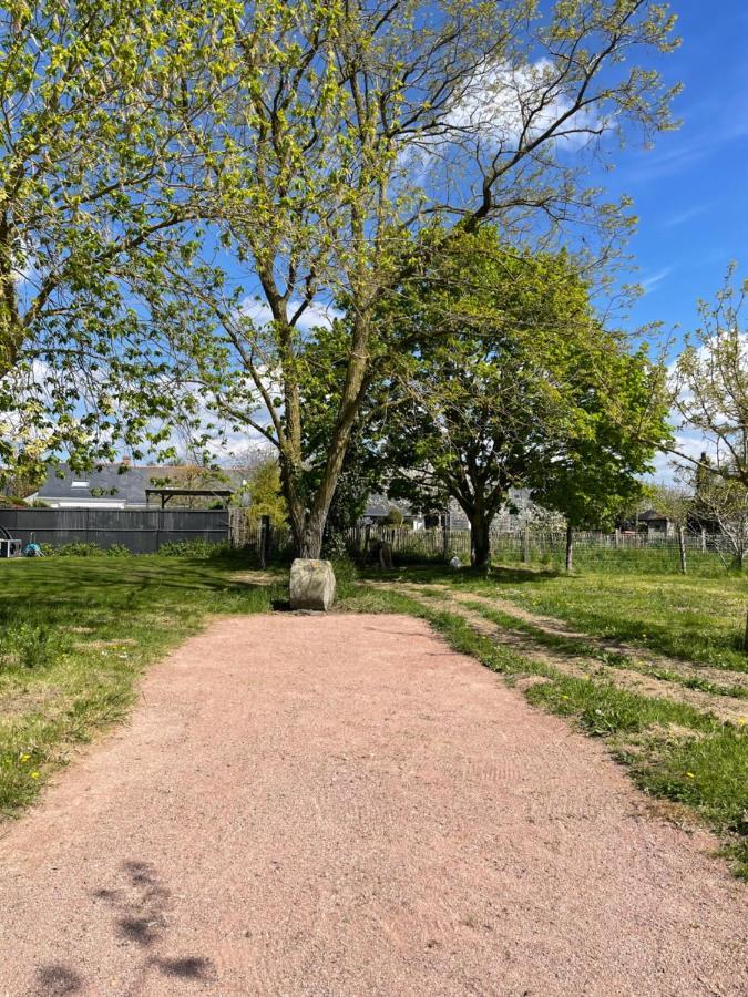 Gite Au Gre De La Loire Piscine Et Spa Saint-Mathurin  Eksteriør billede